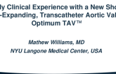 Early Clinical Experience with A New Short, Self-Expanding, Transcatheter Aortic Valve: Optimum-TAV
