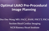 Optimal LAAO Pre-Procedural Image Planning