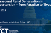 Ultrasound Renal Denervation in Hypertension – From Paradise to Sonivie