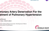Pulmonary Artery Denervation