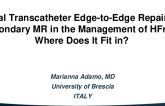 Mitral Transcatheter Edge-to-Edge Repair for Secondary MR in the Management of HFrEF: Where Does It Fit in?