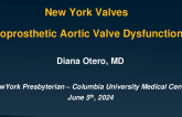 Case 1: Bioprosthetic Aortic Valve Dysfunction