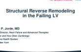 Structural Remodeling of the Failing LV: Concepts and Devices
