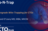 Tip-N-Trap: Retrograde Wire Balloon Rrapping for Chronic Total Occlusions
