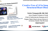Creative Uses of AI in Imaging for Structural Heart Disease
