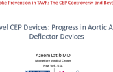 Novel CEP Devices: Progress in Aortic Arch Deflector Devices