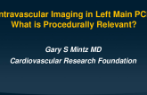Lecture 1 – Intravascular Imaging in Left Main PCI: What is Procedurally Relevant?