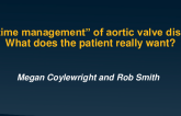 Patient Interview: Understanding the Impact of Patient Preferences and Other Determinants of VHD Therapy Choices