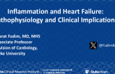 Inflammation and Heart Failure: Pathophysiology and Clinical Implications