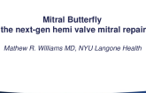 Hemi Valve Mitral Butterfly: Technology and Program Update