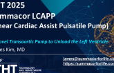 A Novel Transaortic Pulsatile Pump to Unload the Left Ventricle