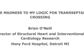 Case 1: The Madness to My Logic for Transseptal Crossing