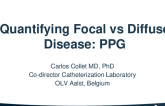 Quantifying Diffuse vs Focal Disease: PPG