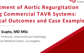 Treatment of Aortic Regurgitation Using Commercial TAVR Systems: Clinical Outcomes and Case Examples With Balloon Expandable and Self-Expanding Valves