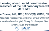 Looking ahead: rapid non-invasive assessment of the full coronary tree with QFR-IMR