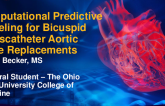 TCT 618: Computational Predictive Modeling for Bicuspid Transcatheter Aortic Valve Replacements