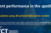 TCT 417: Stent Performance in the Spotlight: Simulation Using 3D-Printed Bifurcation Models