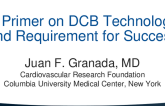A Primer on DCB Technology and Requirements for Success