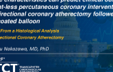 TCT 442: Tissue Characteristics Can Predict Clinical Outcome in Stent-Less Percutaneous Coronary Intervention With Directional Coronary Atherectomy Followed by Drug-Coated Balloon: Insights From a Histological Analysis