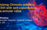TCT 580: Optimizing chimney stenting during ViV-TAVI with a self-expandable supra-annular valve