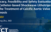 TCT 156: Efficacy, Feasibility and Safety Evaluation of Catheter-based Shockwave Lithotripsy in the Treatment of Calcific Aortic Valve Stenosis