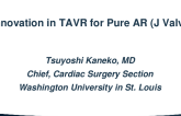 Innovation in TAVR for Pure AR (J Valve)