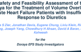 Safety and Feasibility Assessment of the Doraya, a Renal Venous Afterload Modulator, for the Treatment of Volume Overload in Acute Heart Failure Patients with Insufficient Response to Diuretics