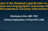 TCT 379: Impact of the Residual Lipid Burden on the Clinical and Angiographic Outcomes After Percutaneous Coronary Intervention