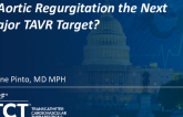 Is Aortic Regurgitation the Next Major TAVR Target?