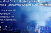 Predicting Valve Repair, Making Replacement Choices, and Adjunct Procedures