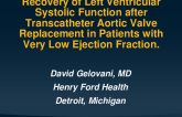 Recovery of Left Ventricular Systolic Function after Transcatheter Aortic Valve Replacement in Patients with Very Low Ejection Fraction