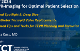 Topic 1: TTVR – Imaging for Optimal Patient Selection