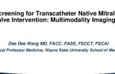 Screening for Transcatheter Native Mitral Valve Intervention: Multimodality Imaging