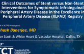 Clinical Outcomes of Stent Versus Non-Stent Interventions for Symptomatic Infrainguinal Peripheral Artery Disease in the Excellence in Peripheral Artery Disease (XLPAD) Registry