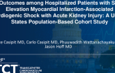 TCT 276: Outcomes Among Hospitalized Patients With ST-Elevation Myocardial Infarction-Associated Cardiogenic Shock With Acute Kidney Injury: A United States Population-Based Cohort Study