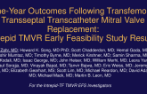 One-Year Outcomes Following Transfemoral Transseptal Transcatheter Mitral Valve Replacement: Intrepid TMVR Early Feasibility Study Results