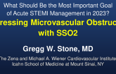 Addressing Microvascular Obstruction with SSO2