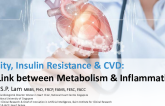 Obesity, Insulin Resistance, and Cardiovascular Disease: The Link between Metabolism and Inflammation
