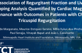 Regurgitant Fraction Quantified by Liver Mapping Analysis Using Cardiac Magnetic Resonance Predict Outcomes in a Large Cohort of All-Comers Patients with Chronic Tricuspid Regurgitation