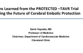 Lessons Learned from the PROTECTED TAVR Trial: Mapping the Future of Cerebral Embolic Protection