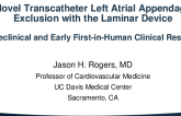 Novel Transcatheter Left Atrial Appendage Exclusion with the Laminar Device: Preclinical and Early First-in-Human Clinical Results