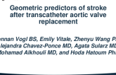 TCT 412: Geometric Predictors of Stroke After Transcatheter Aortic Valve Replacement