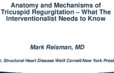 Anatomy and Mechanisms of Tricuspid Regurgitation – What The Interventionalist Needs to Know