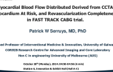 TCT 515: Myocardial Blood Flow Distribution Derived From CCTA, Myocardium at Risk, and Revascularization Completeness in FASTTRACK CABG