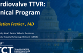 The Cardiovalve TTVR Clinical Program