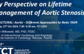 My Perspective on Lifetime Management of Aortic Stenosis