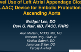 Novel Use of Left Atrial Appendage Closure (LAAC) Device for Embolic Protection in Ascending Aorta