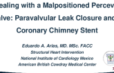 Dealing With a Malpositioned Perceval Valve: Paravalvular Leak Closure and a Coronary Chimney Stent