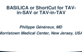 BASILICA or ShortCut for TAV-in-SAVR or TAV-in-TAV