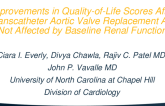 Improvements in Quality-of-Life Scores After Transcatheter Aortic Valve Replacement are not Affected by Baseline Renal Function